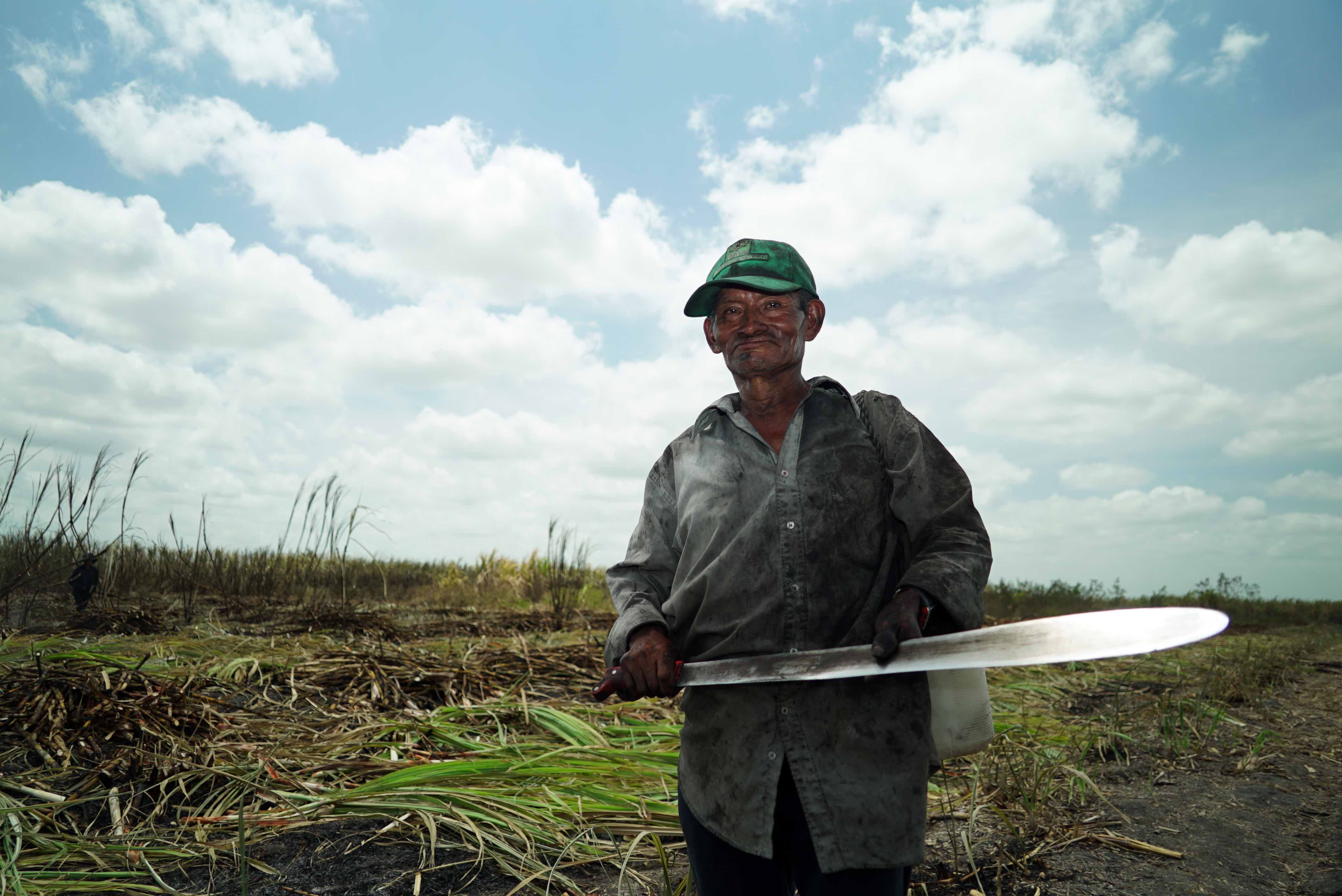 Caña de azúcar: el monocultivo que transformó al sur de Quintana Roo - FOTO-NUEVA