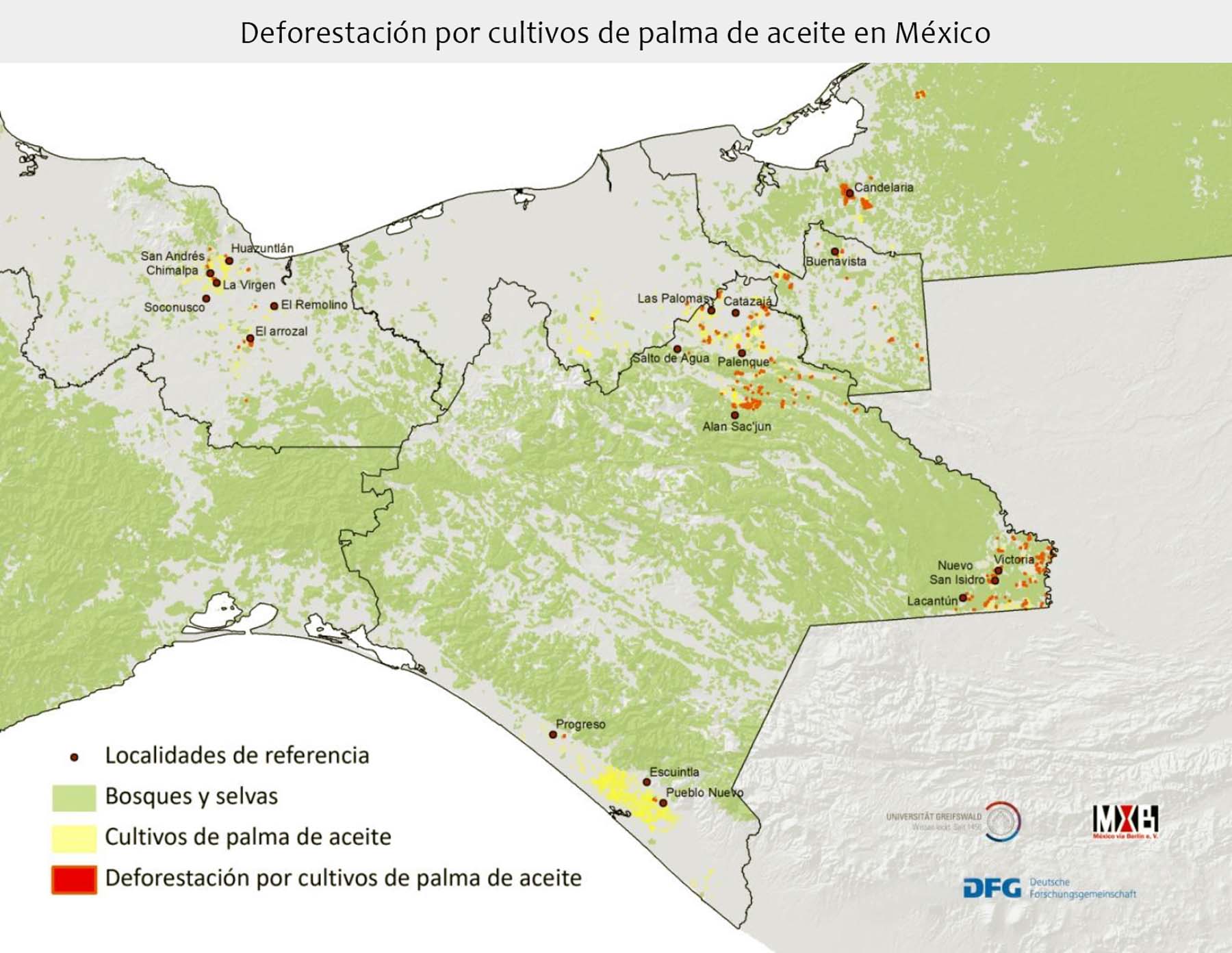 Palma de aceite: las plantaciones que acorralan selvas y manglares en el sureste de México - Deforestacion-por-palma