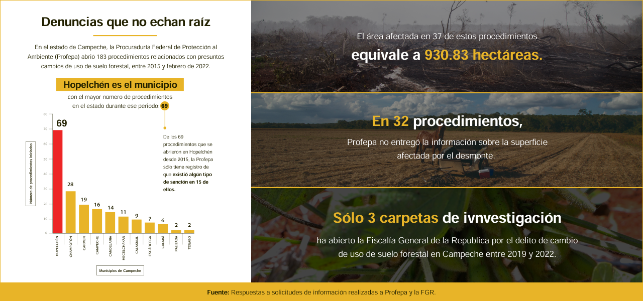 Soya: la agroindustria que arrasa con la selva maya - desktop1x_grafico_procedimientos_soya