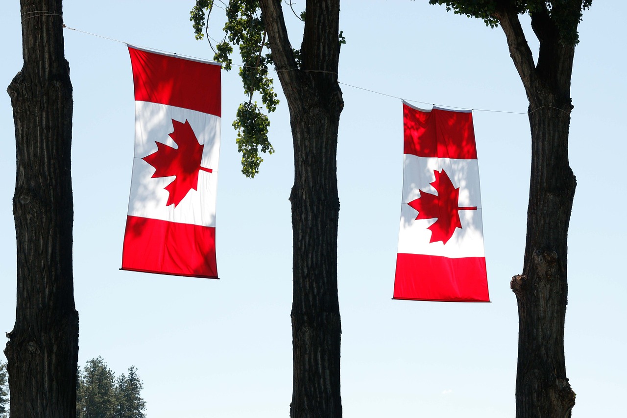 Canadá se abre más a la llegada de migrantes y refugiados: estudio