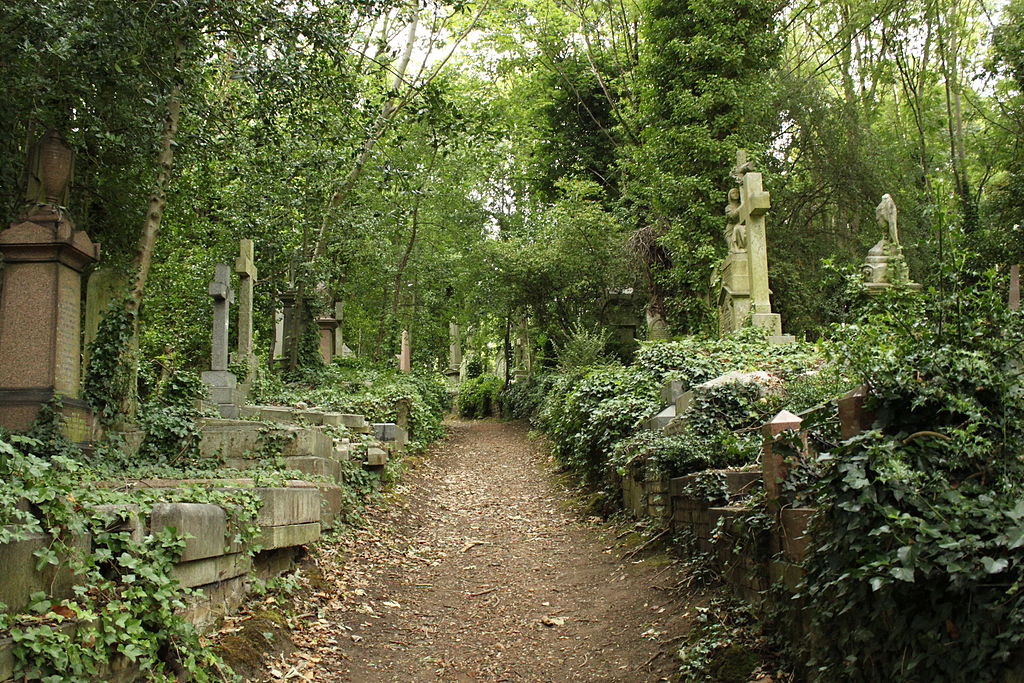 Un cementerio histórico quiere vibrar con nuevos visitantes