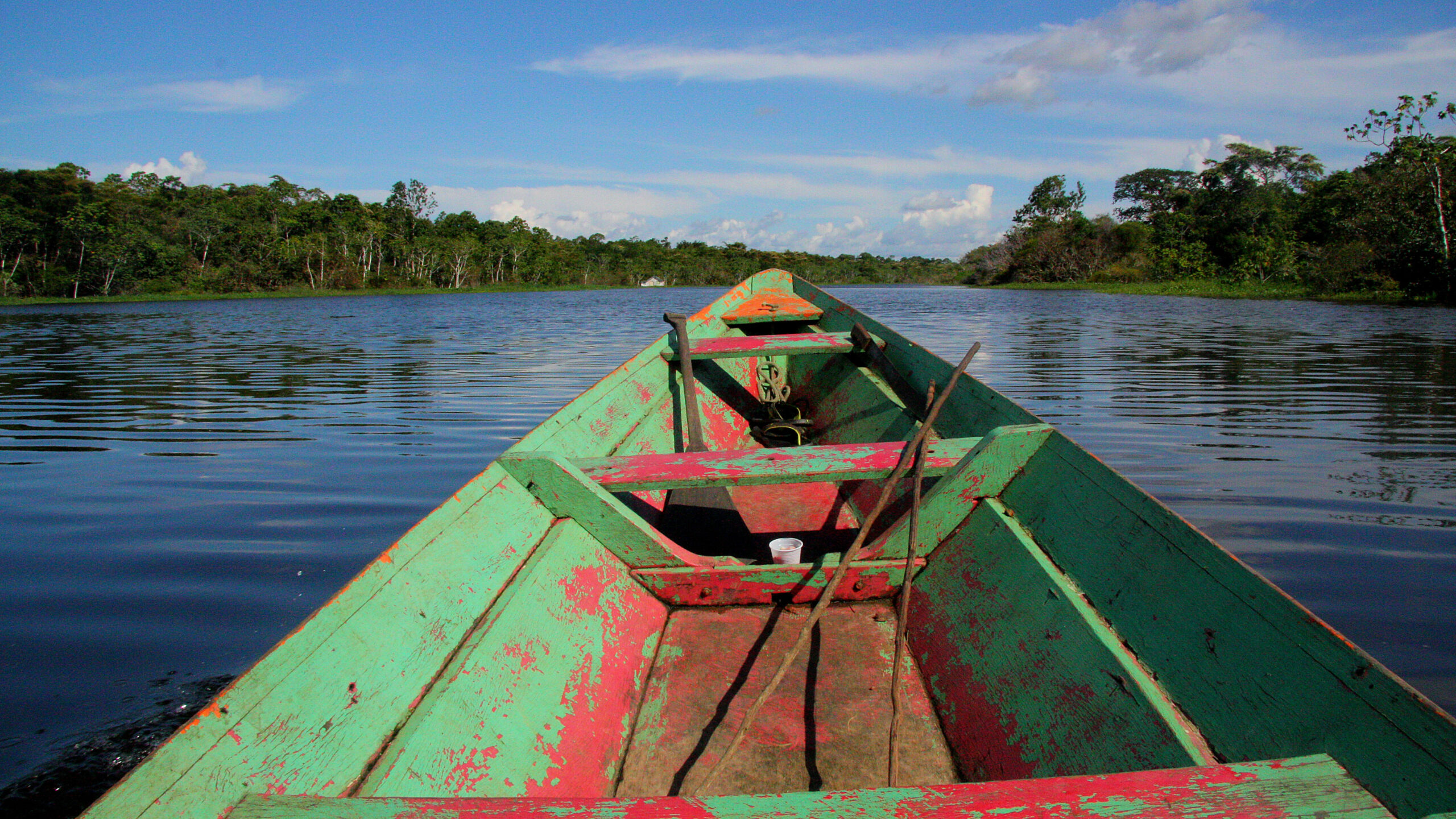 La construcción de una economía ecológica salvaría al Amazonas de una ‘pesadilla’