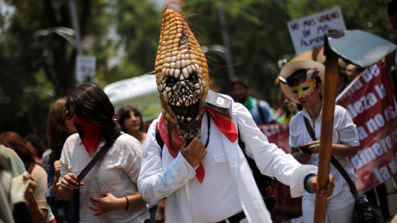 Monsanto y autoridades de EU presionaron a México para eliminar la prohibición al glifosato