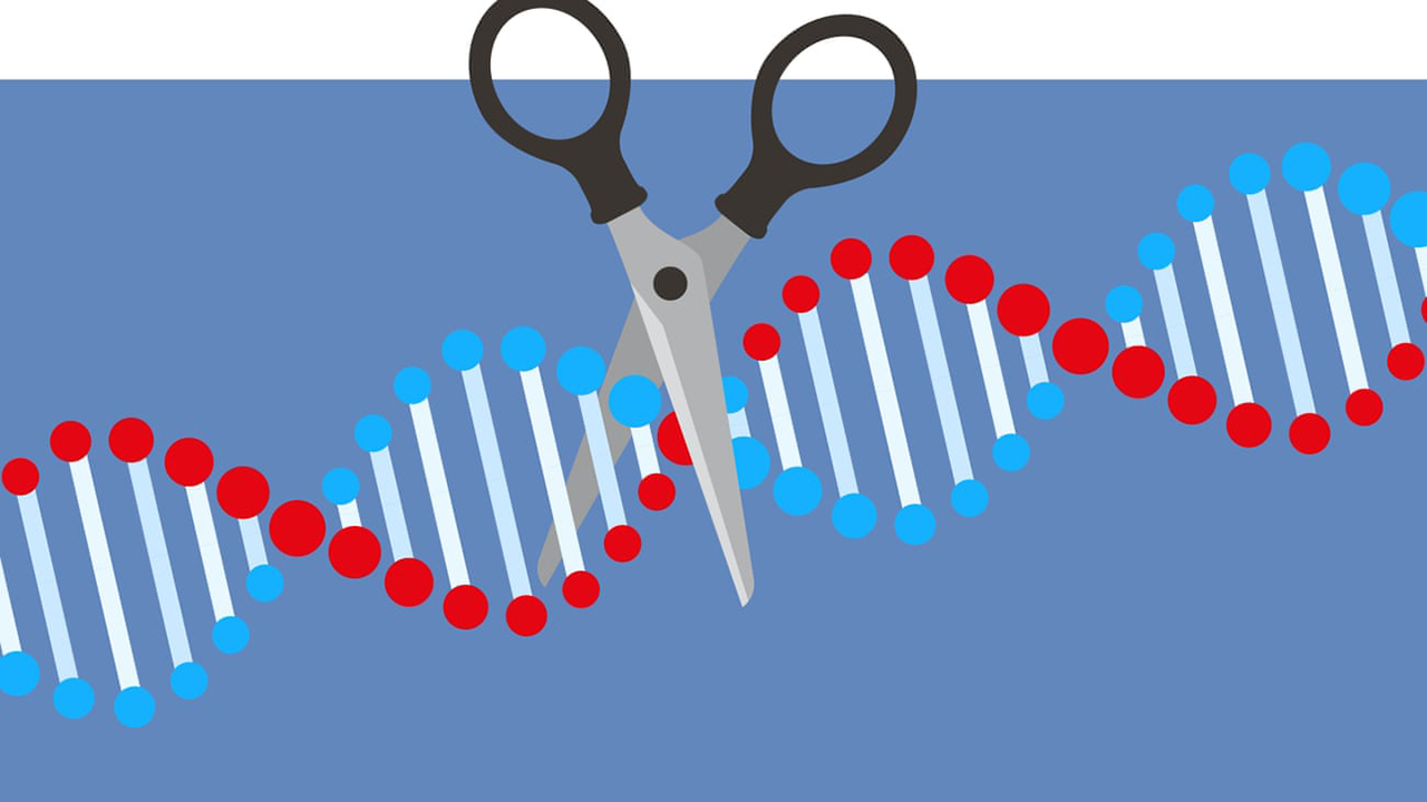 Después del Nobel, ¿qué sigue para las terapias de edición genética CRISPR?