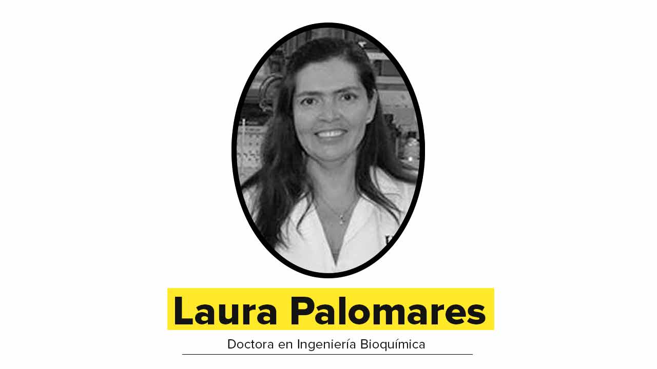 Innovadora excepcional: Laura Palomares