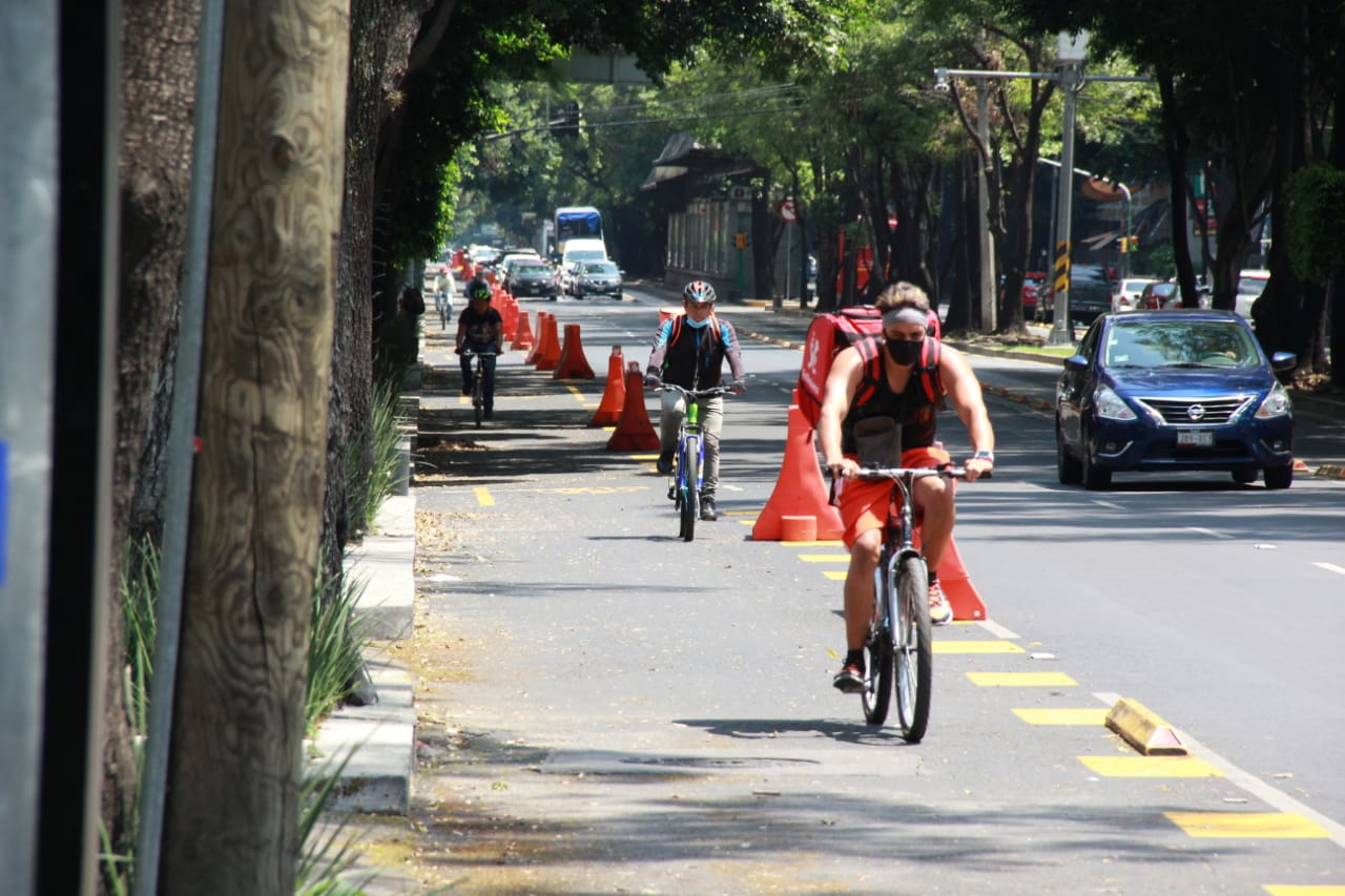 La ciclovía en la avenida Insurgentes en la CDMX será permanente