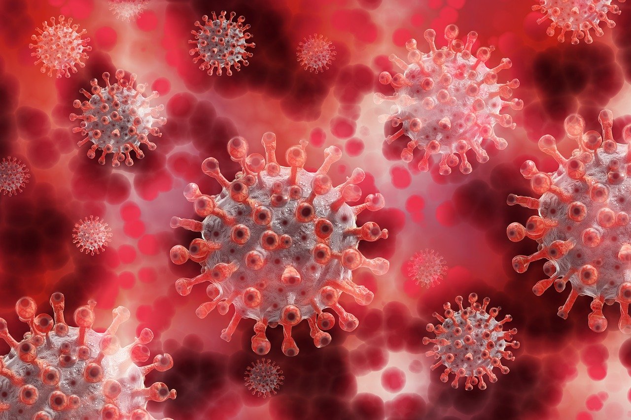El coronavirus se siente ‘particularmente atraído’ por el grupo sanguíneo A