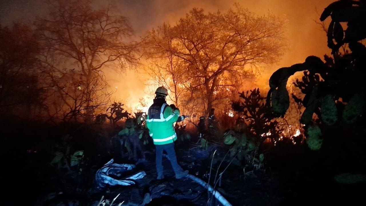 Bomberos logran controlar el incendio en reserva ecológica de Tlalpan