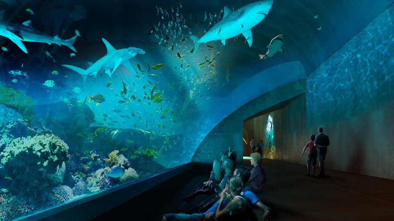 Así se construye en Mazatlán el acuario más grande de América Latina