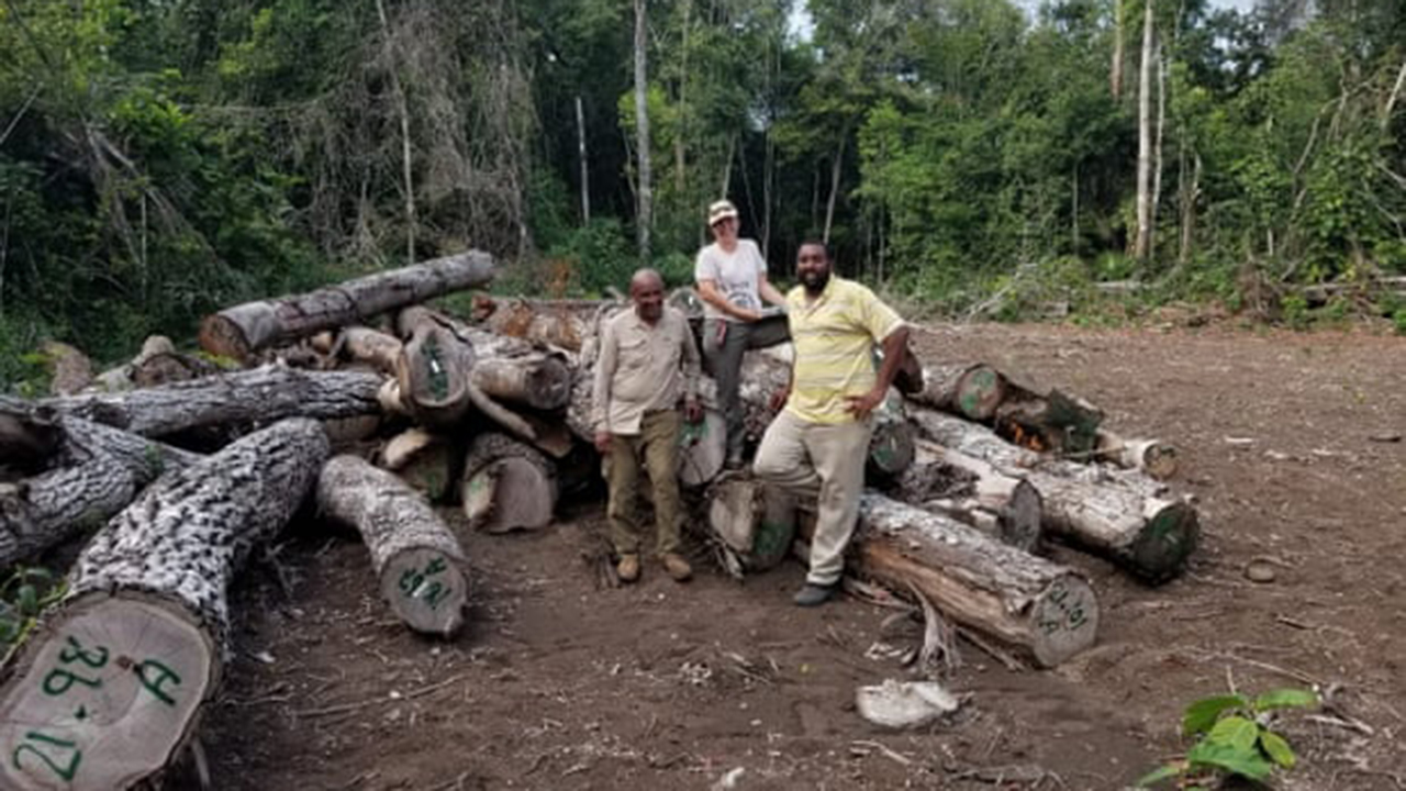 Ecologistas le compran bosques a Belice para protegerlo ‘a perpetuidad’
