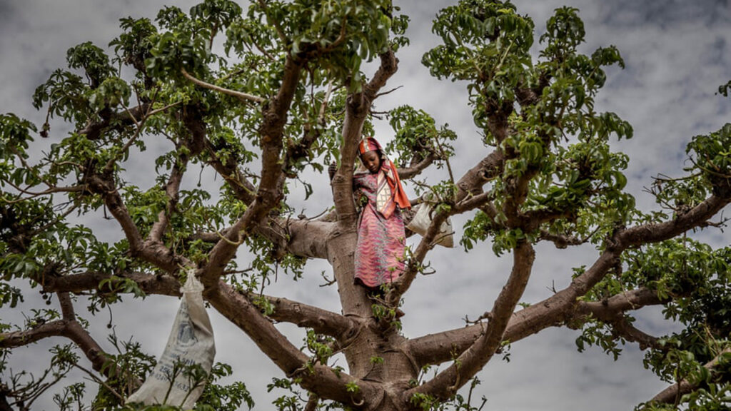 La niña en el árbol de baobab gigante: la mejor fotografía de Luis Tato