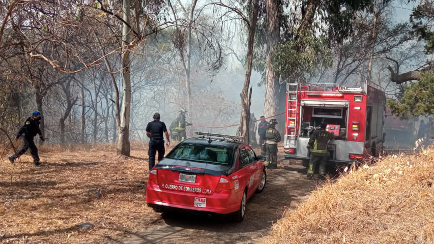 Reportan incendio en la tercera sección del Bosque de Chapultepec