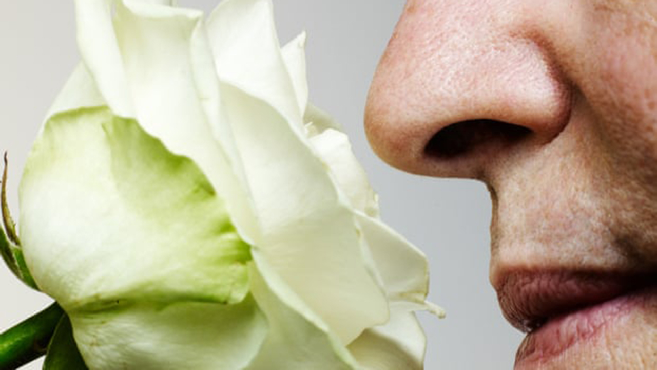 ‘Entrenar el olfato’ se recomienda a los pacientes de Covid con anosmia