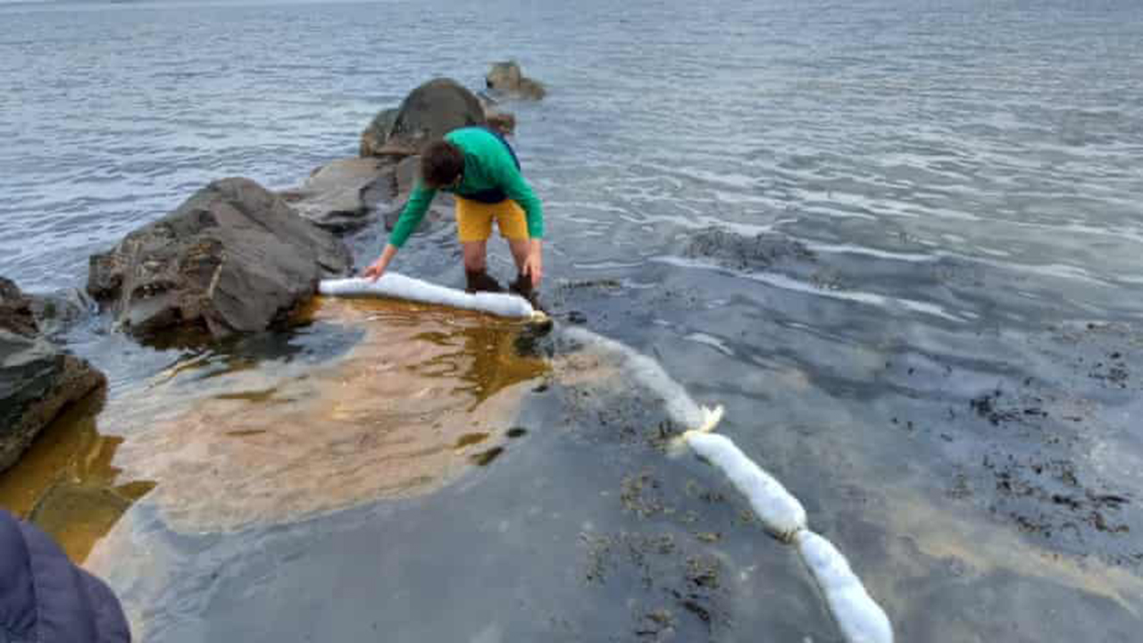 Reciclan cabello de salones de belleza para limpiar los derrames de petróleo en las orillas del mar
