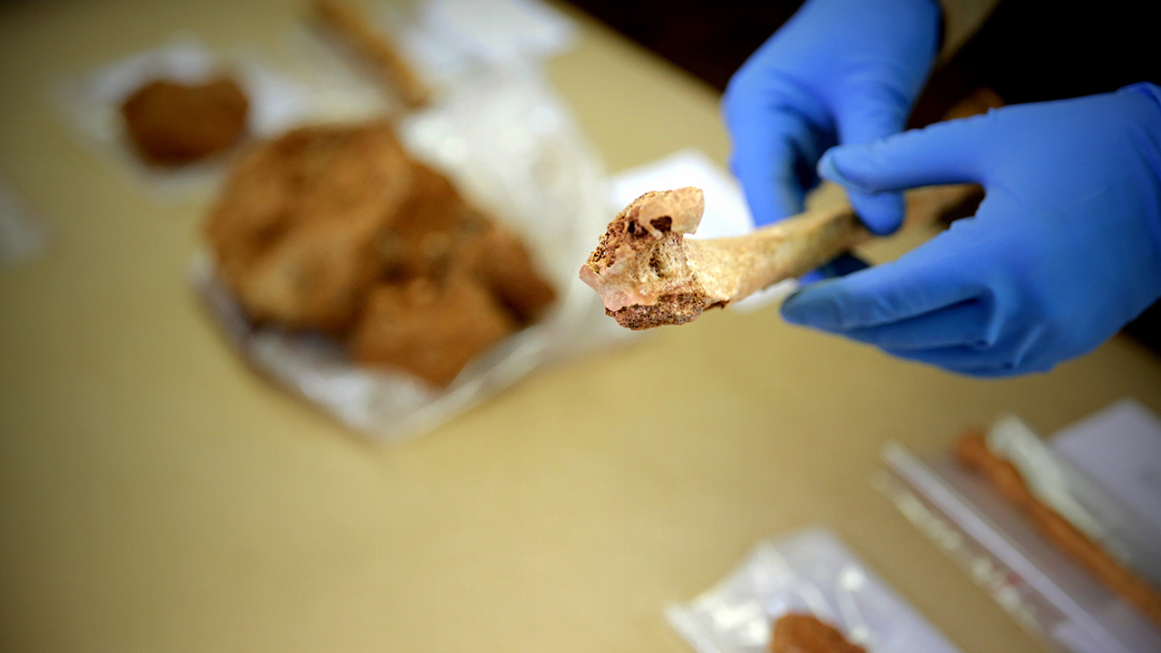 El INAH analiza huesos de una mujer y objetos del año 600 hallados en Michoacán