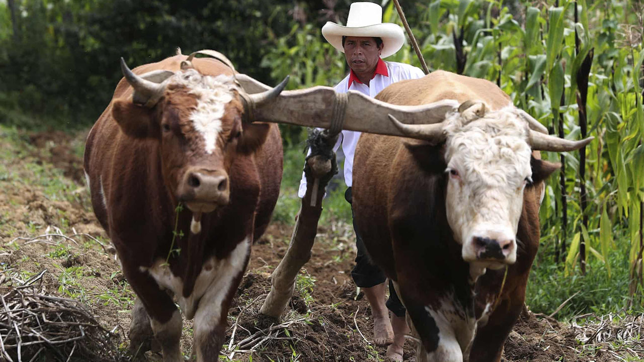 El hijo de la tierra, Pedro Castillo, promete una presidencia para los pobres de Perú