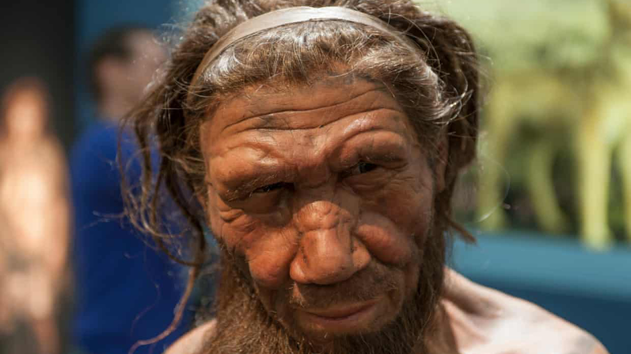 Pequeños rastros de ADN encontrados en el polvo de una cueva pueden revelar la vida secreta de los neandertales