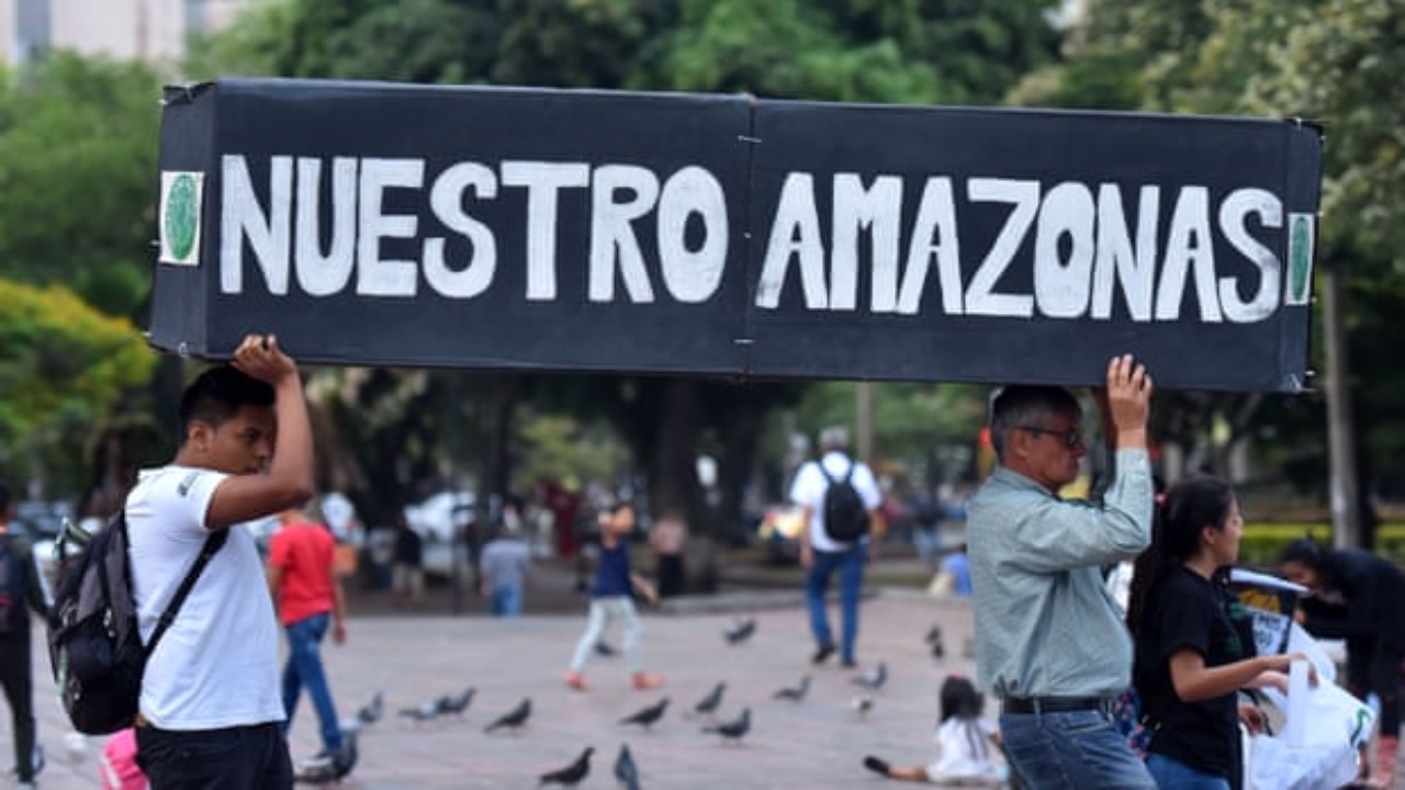 En Colombia se utilizan compensaciones para eludir impuestos al carbono: informe