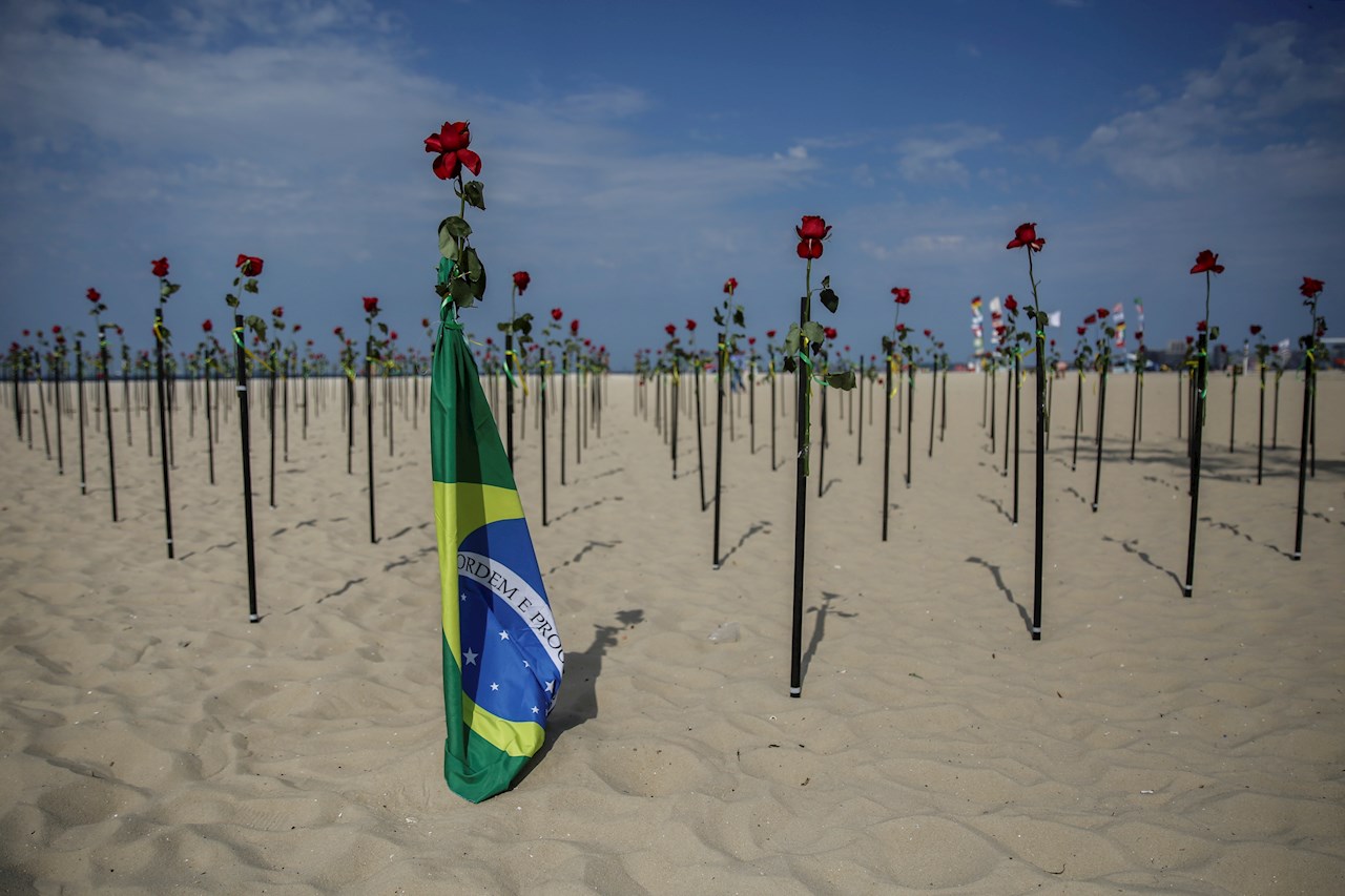 Cientos de rosas rojas honran a los 500 mil fallecidos por Covid-19 en Brasil