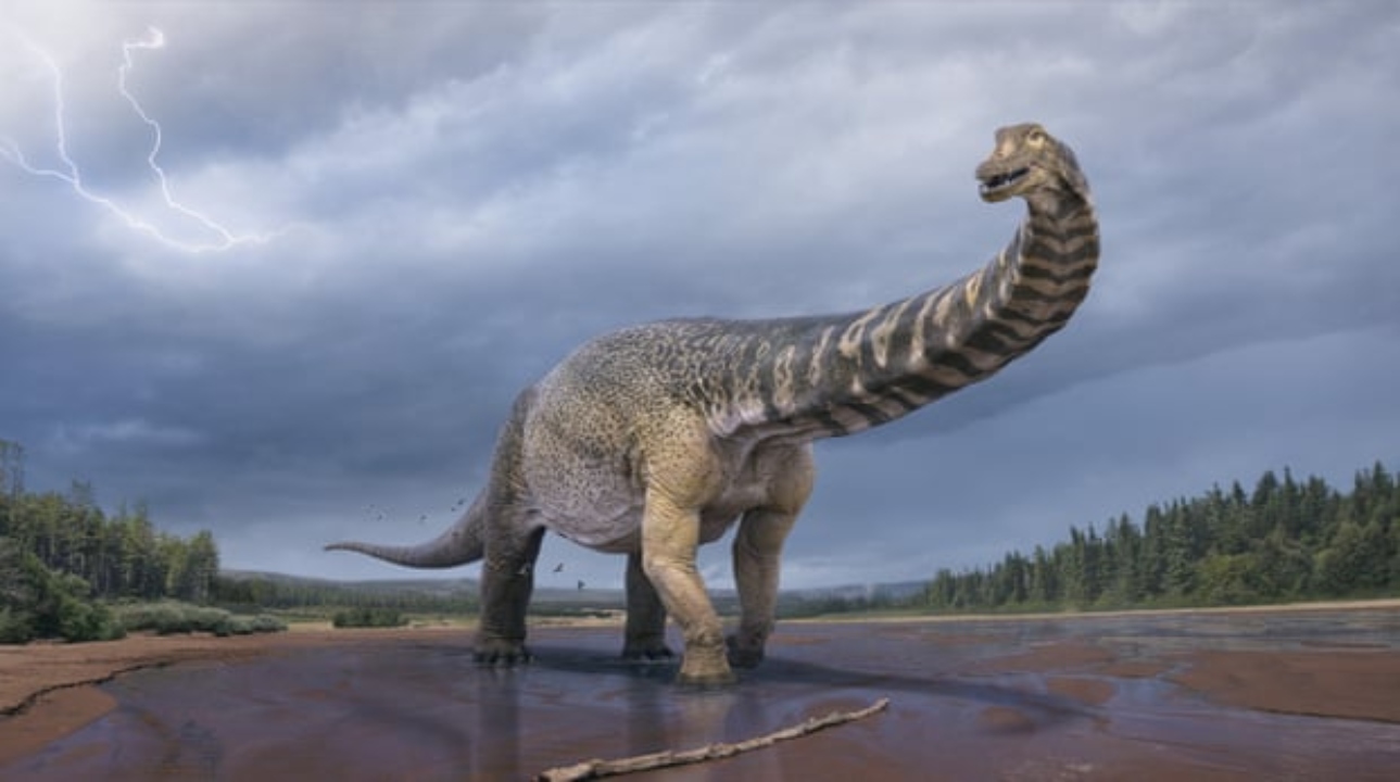 Se confirma una nueva especie de dinosaurio en Australia