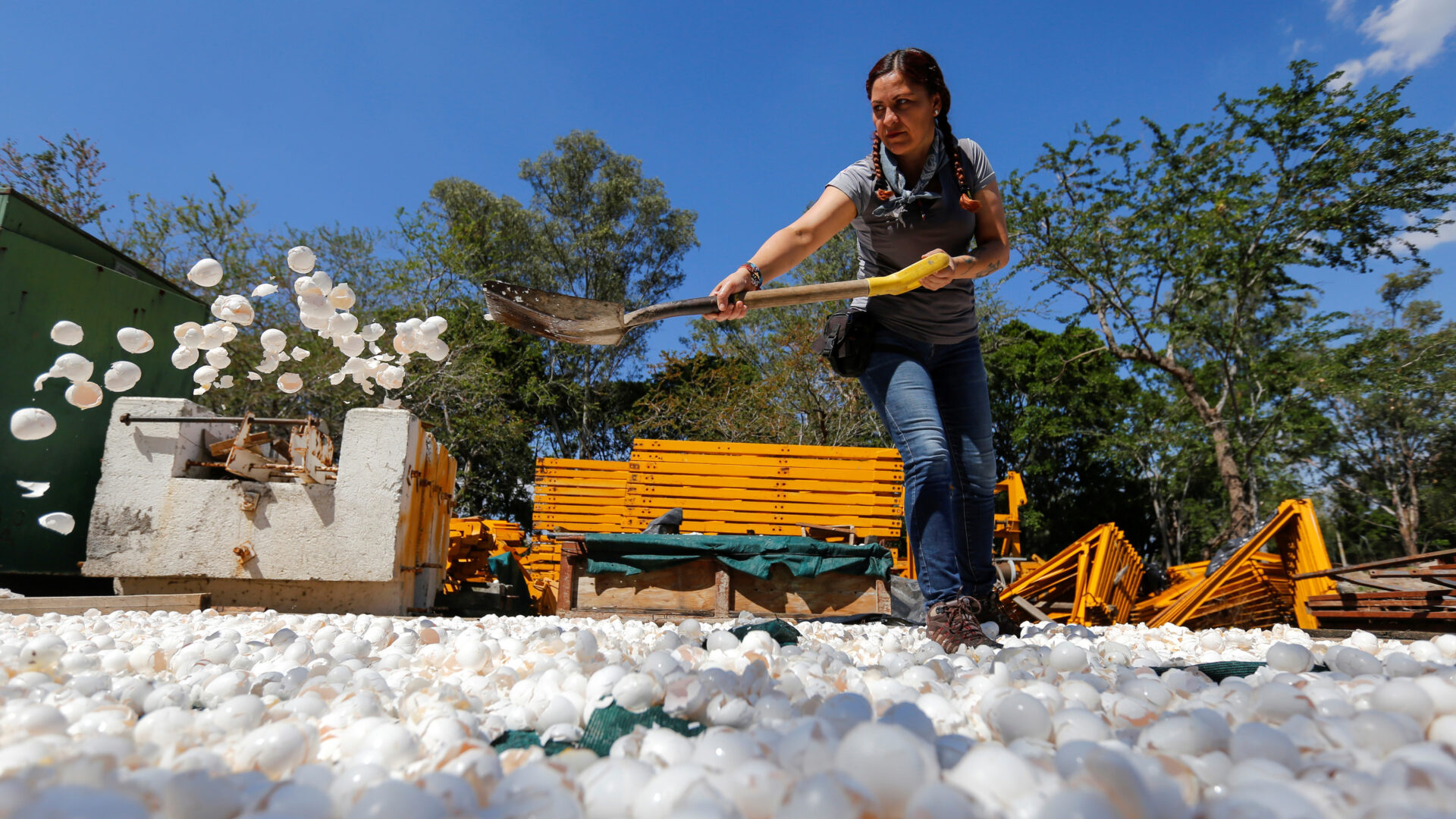 Limpian con cascarones de huevo el río Santiago, uno de los más contaminados de México