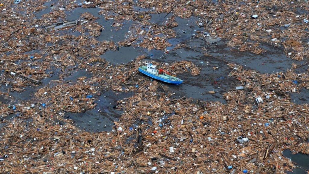 ‘Rafting’ de plástico: las especies invasoras que viajan en la basura del océano