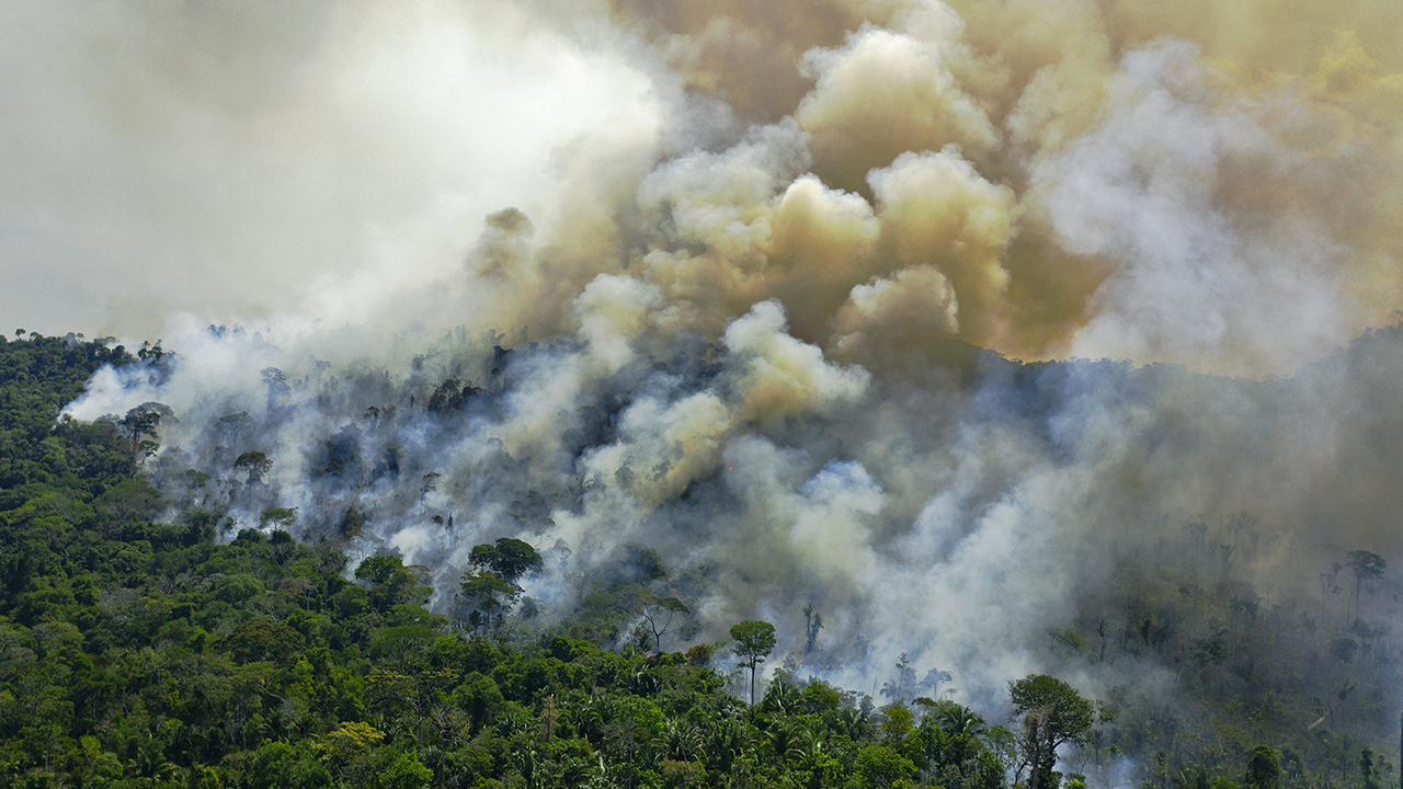 La deforestación en la Amazonia brasileña batió un nuevo récord en junio