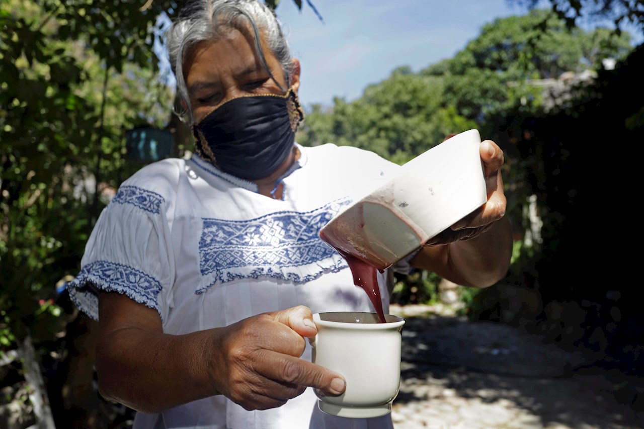 María Teresa Solís, cocinera indígena, gana concurso gastronómico con un atole de maíz morado