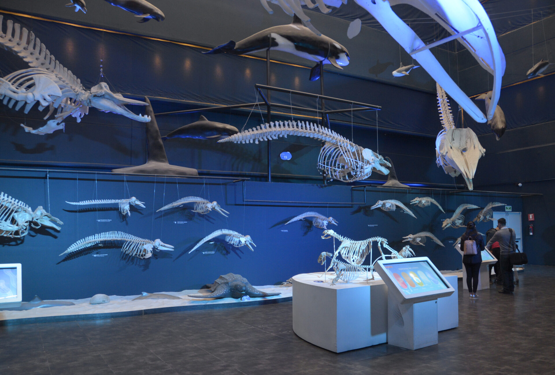 El museo Universum reabre con un túnel de inmersión a la ciencia