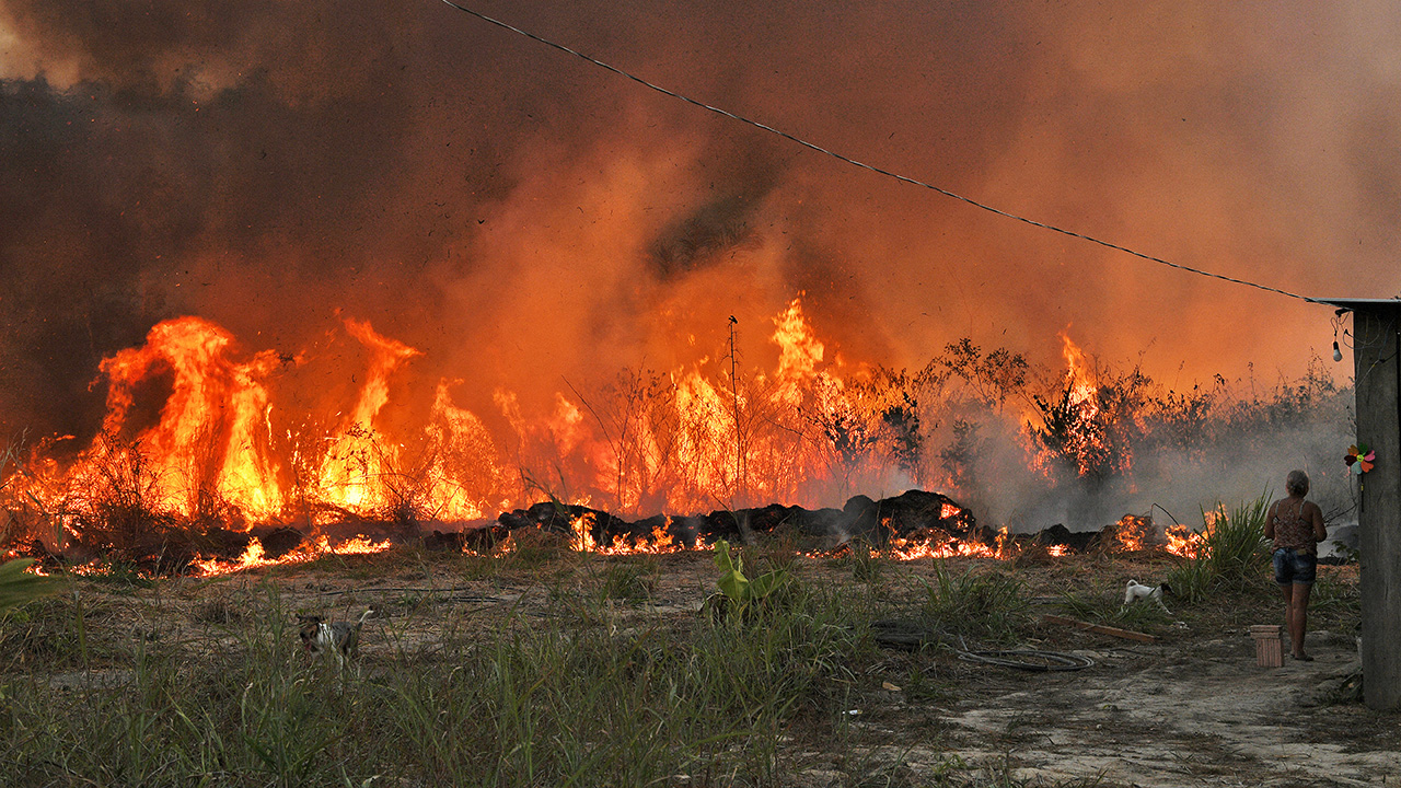 Casi el 20% de Brasil sufrió al menos un incendio en los últimos 35 años