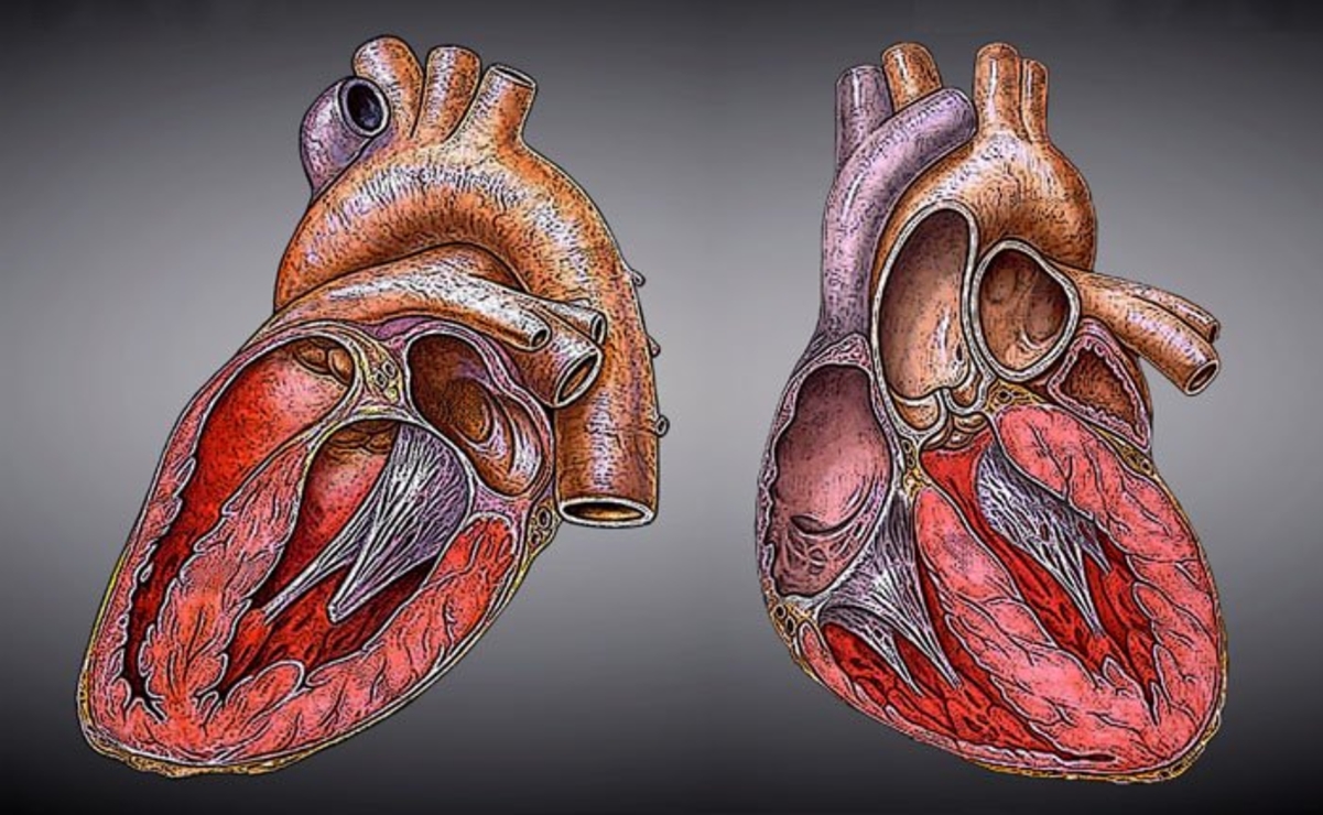 Muertes por enfermedades del corazón superaron a las de Covid-19 en 2020