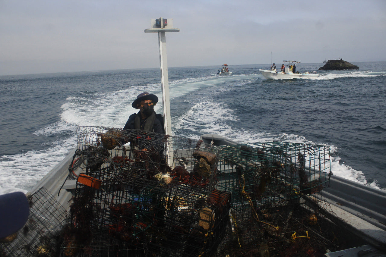 ONG: 90 embarcaciones han sido retenidas por pesca ilegal en 2021