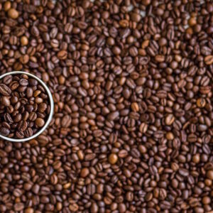 ¿Sabes que hay detrás de la elaboración del café más caro del mundo? Te contamos