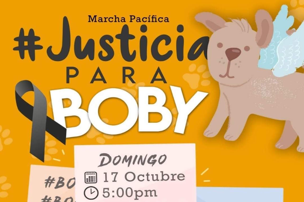 ¡Justicia para Boby! Exigen castigo para asesino de perro en Michoacán