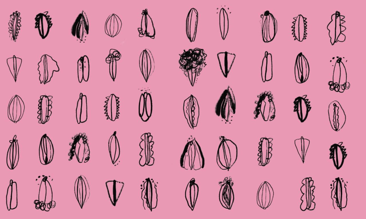 Viva la vulva: por qué debemos hablar de los genitales femeninos