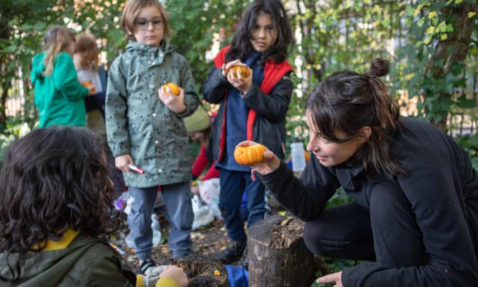 Las escuelas forestales florecen mientras los jóvenes se desconectan y aprenden de la naturaleza