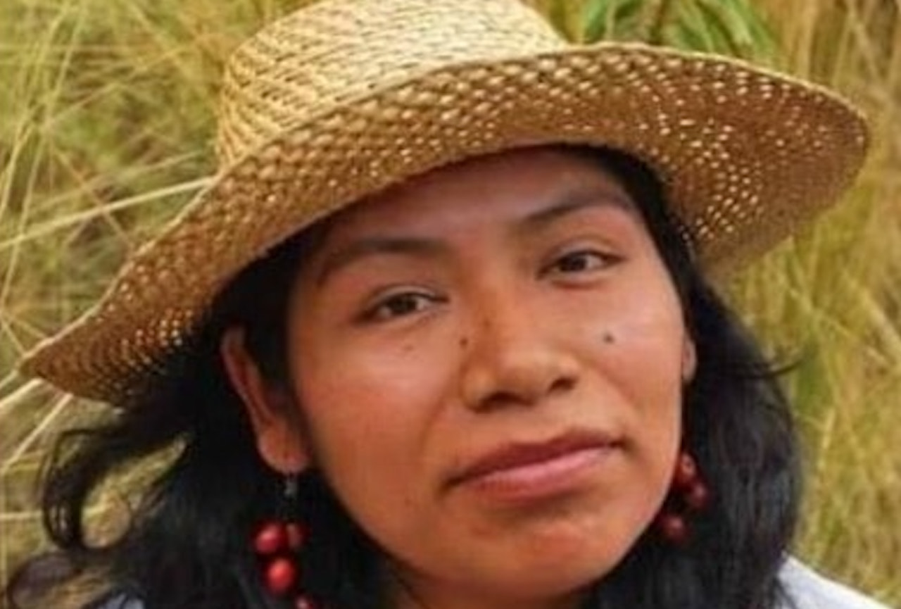 Irma Galindo, defensora de los bosques en Oaxaca, desaparece