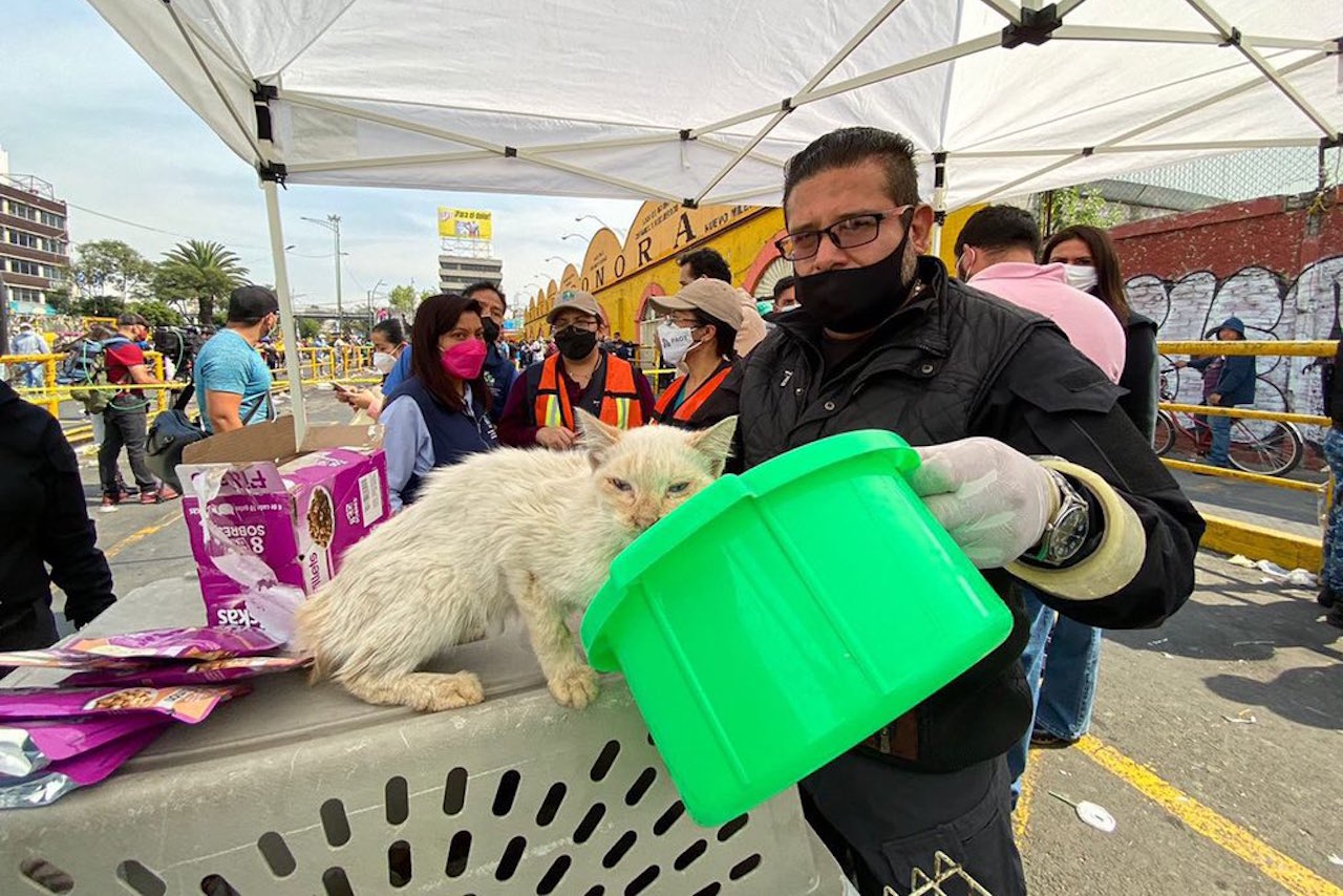 La CDMX busca eliminar venta de animales en el Mercado de Sonora
