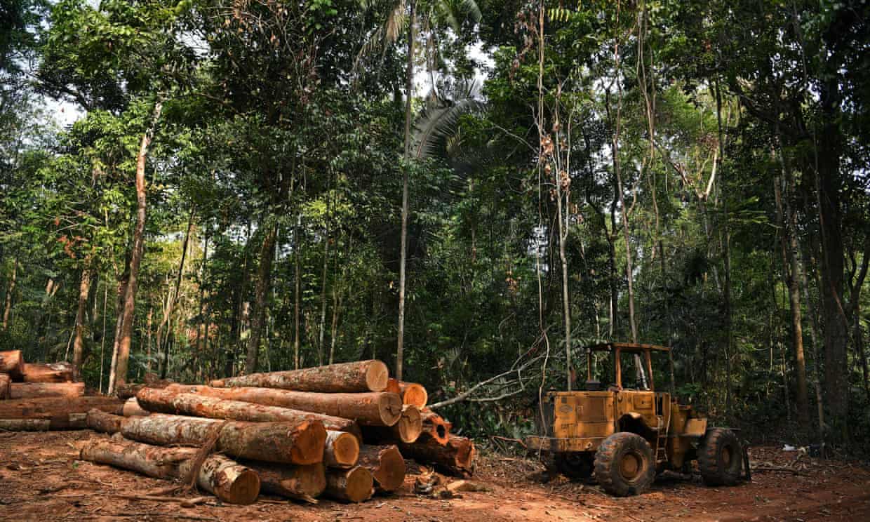 Un nuevo estudio vincula a las principales marcas de moda con la deforestación del Amazonas