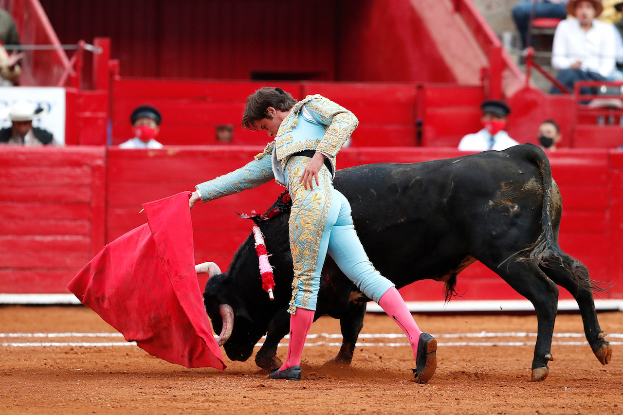 Juez suspende provisionalmente las corridas de toros en la Plaza México