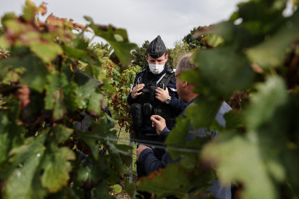 Ladrones dejan a un lado las joyas, ahora buscan los lujosos vinos de Francia