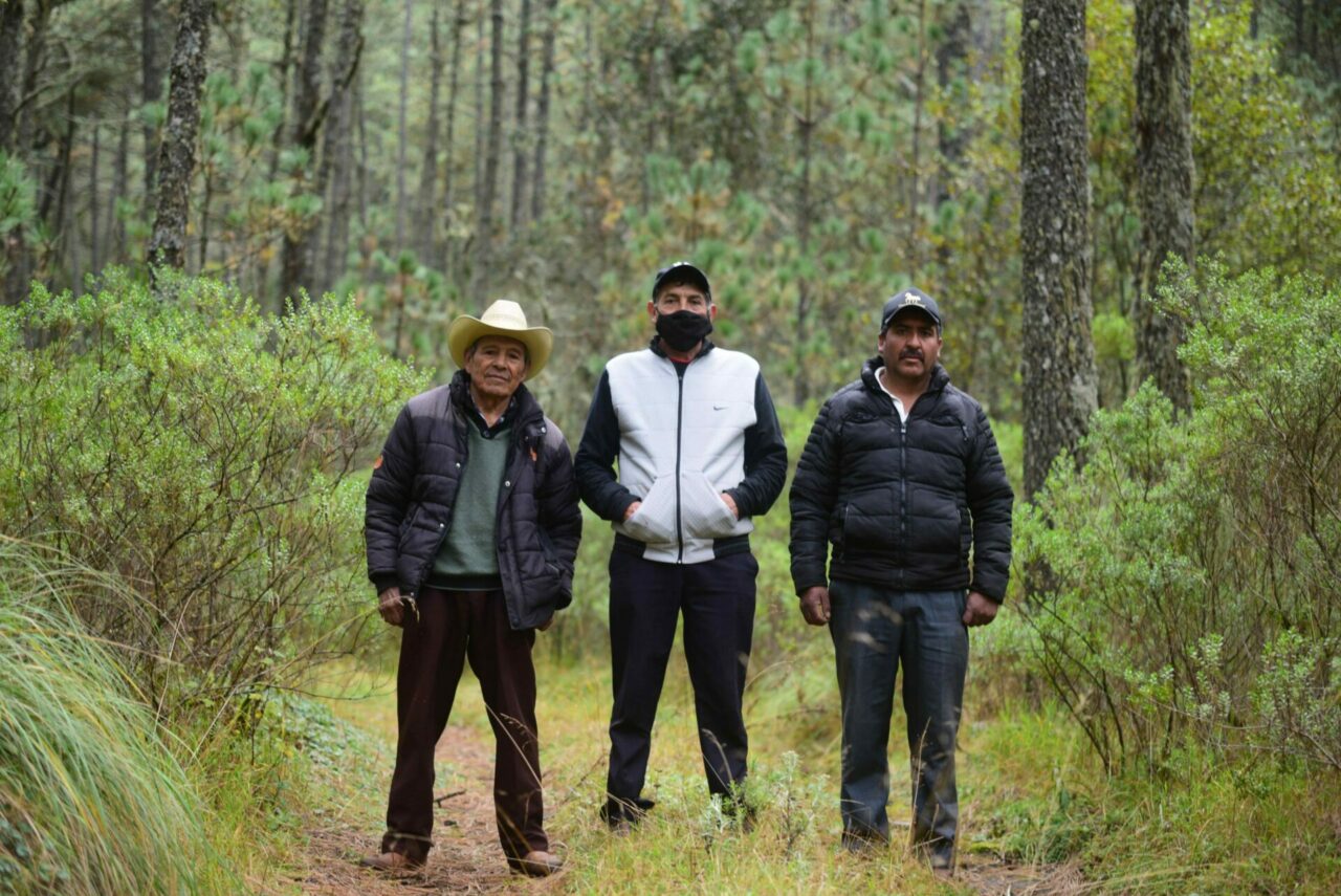 Los guardianes del bosque que da agua a la ciudad de Xalapa, en México