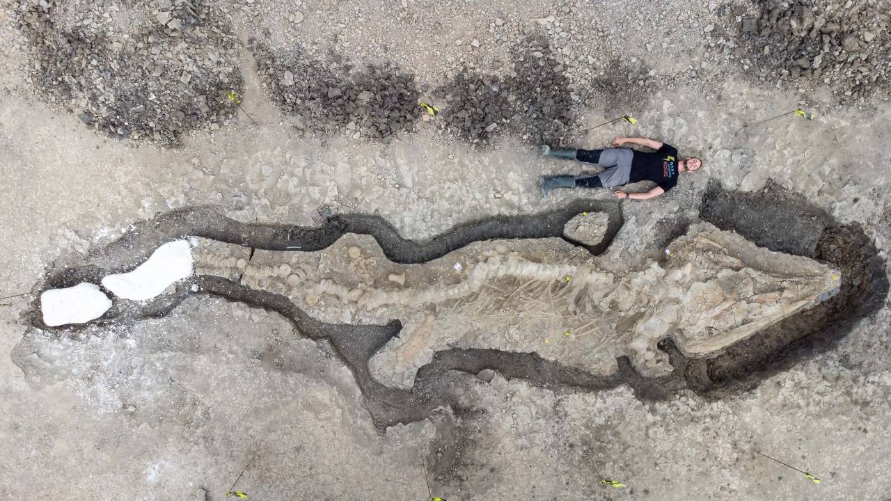 En Inglaterra, halla  un enorme fósil de dragón marino