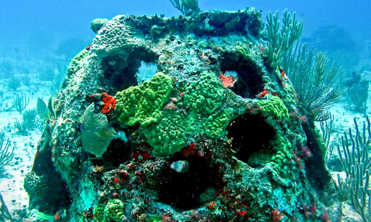 Entierros en bolas de arrecife: la nueva moda de convertirse en un ‘coral’ al morir