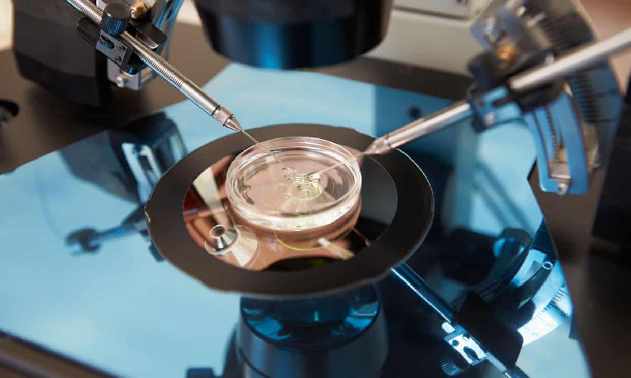 Un médico especialista en fertilidad holandés utilizó su propio esperma para procrear 21 hijos