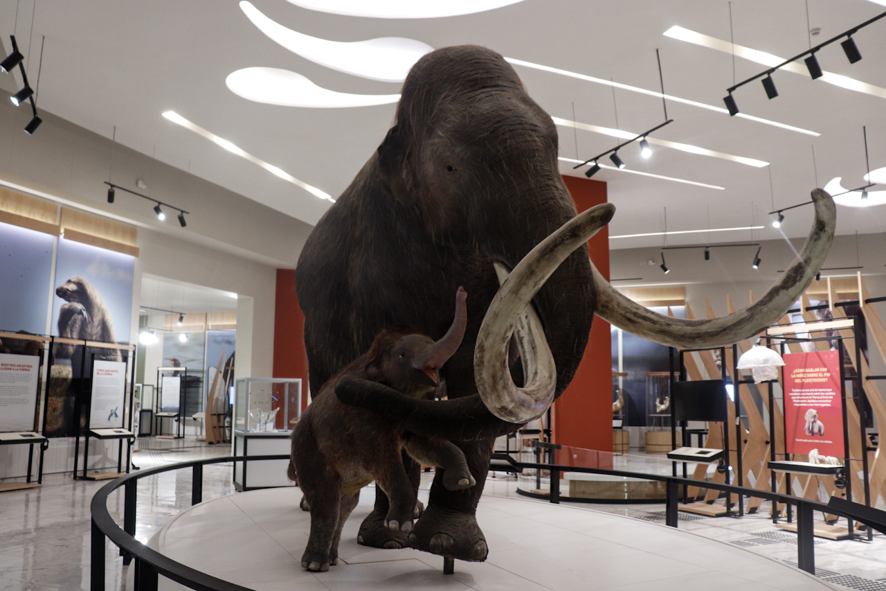 Así Luce Quinamétzin El Museo Del Mamut Que Está En El Aifa