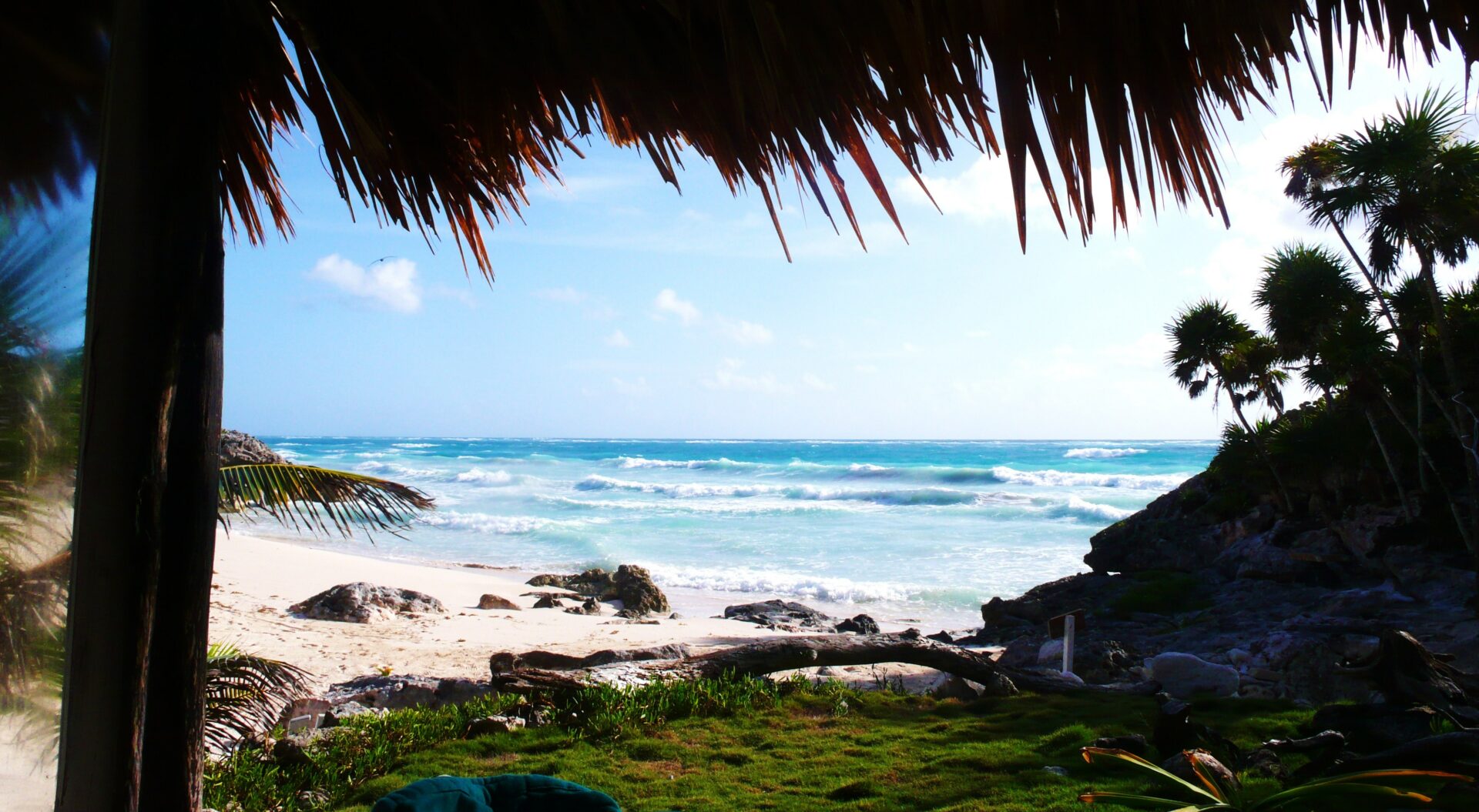 289 de 290 playas mexicanas están limpias; playa Hermosa, en BC, no pasa la prueba: Cofepris