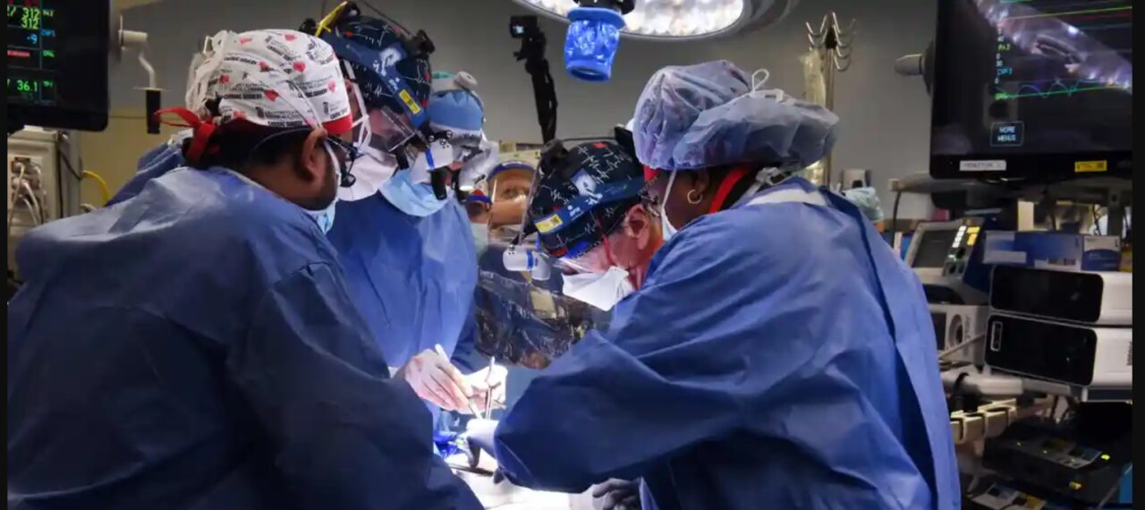 Muere la primera persona en recibir un trasplante de corazón de un cerdo, informa un hospital de Maryland