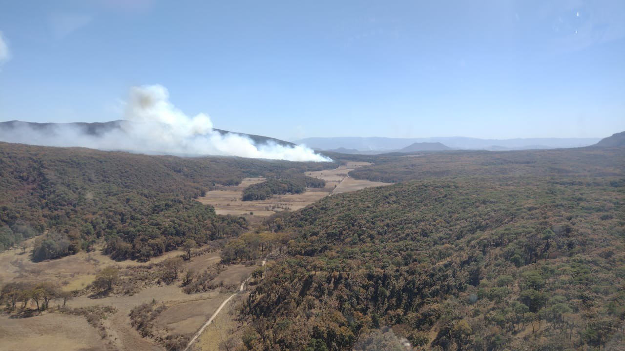 Cinco helicópteros atienden el incendio en el Bosque La Primavera, Jalisco