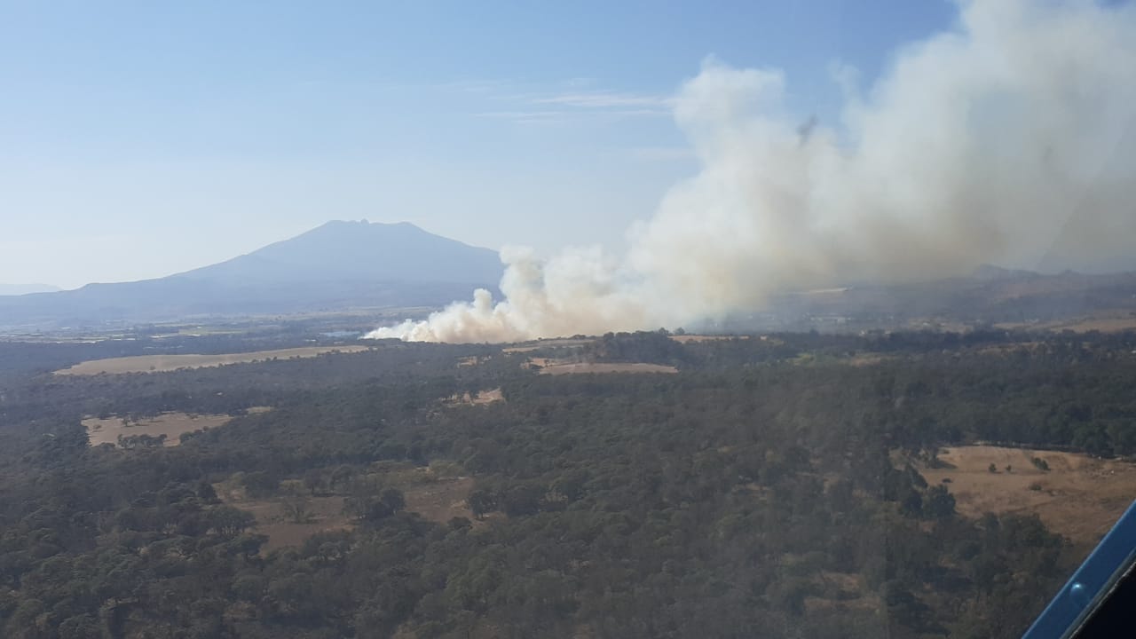 Incendios en Zapopan consumen áreas del Bosque La Primavera